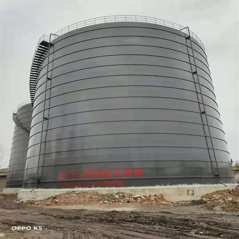 加乐镇3万吨大型钢板库