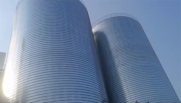 加乐镇2座混凝土高架卷板仓